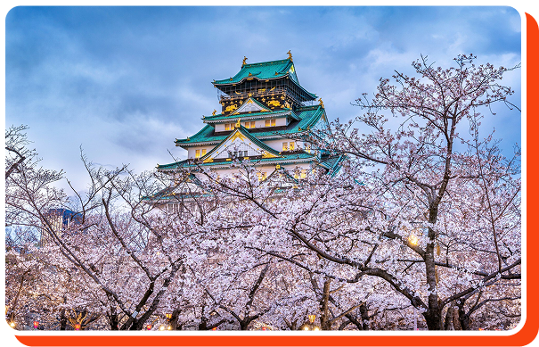 Osaka Castle Course 120 minutes
